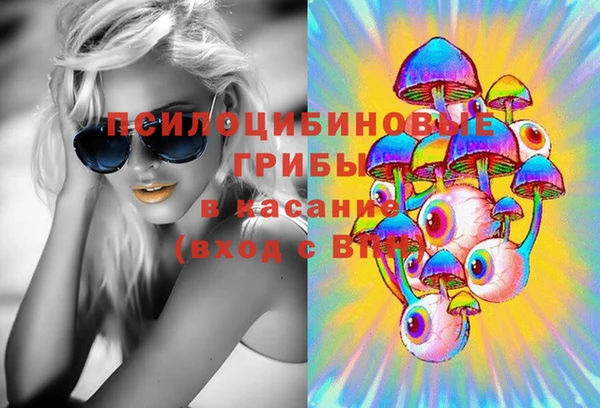 первитин Кукмор