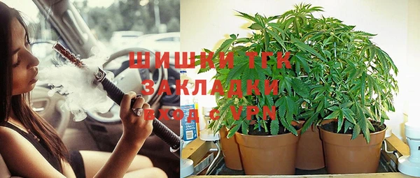 первитин Кукмор