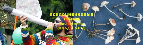 трава Куйбышев