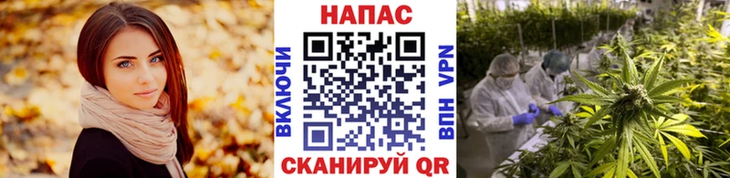 Бошки Шишки OG Kush ссылка на мегу tor Юхнов